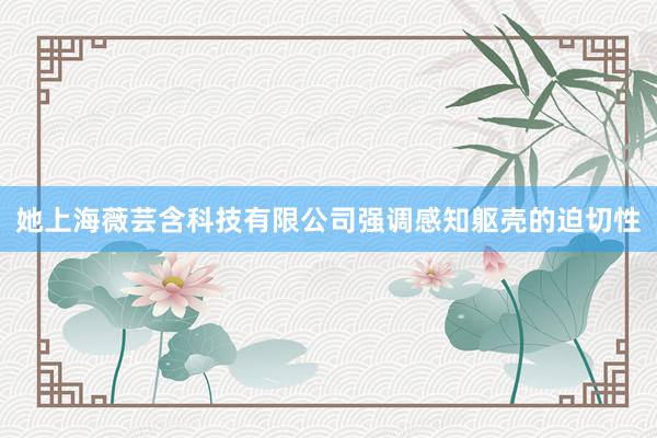 她上海薇芸含科技有限公司强调感知躯壳的迫切性